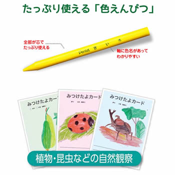 【単色】ぺんてる／パスティック・小学校色えんぴつ単色※1本単位からお受けしています！　GC-T【絵具・工作・美術・図工】