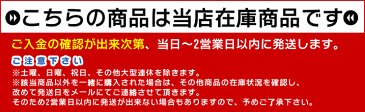 在庫有り!書初め4点セット 大筆福(小)八ッ切判用 下敷ケース付き!冬休みの課題にぴったりの書初めセット。書道専門店選らんだ書き初めセット 4点セット八ツ切判用【お正月・小学校・小学生用・書写セット・習字セット】※大人もお使い頂けます。KZST18-8K4S