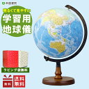 【楽天ランキング1位獲得！】レイメイ藤井 しゃべる国旗付き地球儀 25cm ダッチペン付き CYV3014 小学生 国旗イラスト 世界地図 地理 社会科 学習 初心者 子供 自由学習 RAYMAY TALKING GLOBE