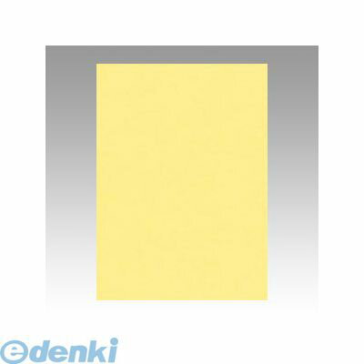 文運堂 4NCR-101 ニューカラー色画用紙4切100枚クリーム 4NCR101