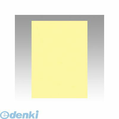 リンテック GO4NCR-134 ニューカラー色画用紙4切100枚　ライト