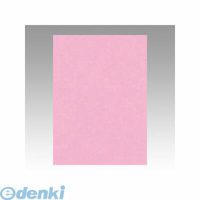 リンテック GO4NCR-234 ニューカラー色画用紙4切100枚　とき色