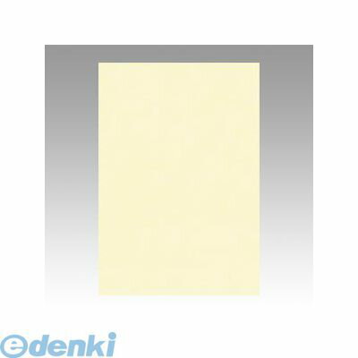 文運堂 8NCR-112 ニューカラー色画用紙8切100枚　薄クリ 8NCR112