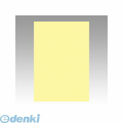 文運堂 8NCR-134 ニューカラー色画用紙8切100枚　ライト 8NCR134