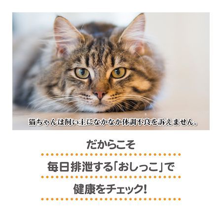 ファンタジーワールド 0634654684752 ヘルスインディケータ 200g