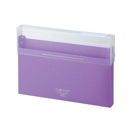 翌日出荷 リヒトラブ LIHIT LAB. A6024-10 コングレスケース　A4　パープル A602410 FIZZ CUBE