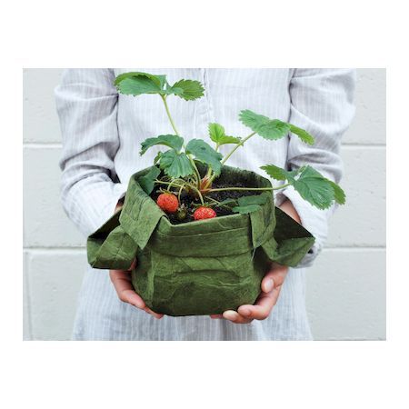 Walnut ＆ Co RP-RR800-1QT Root Puch 育苗ポット Black＿1QT RPRR8001QT