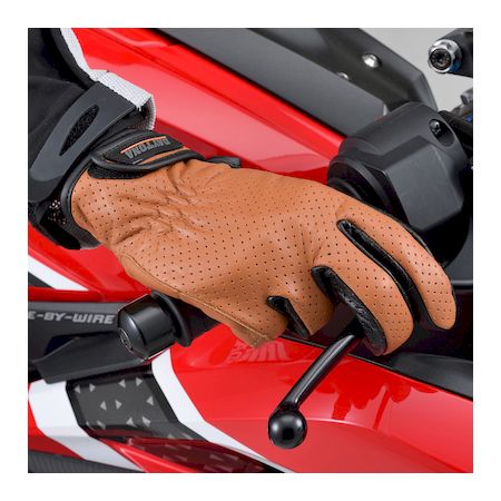 �ǥ��ȥ� DAYTONA 18904 �Х����� �������� M������ �֥饦�� �����쥶�� �ѥ���󥰥�å��� ���å��ѥͥ��б� �ղƽ� �ܳ� HBG��129