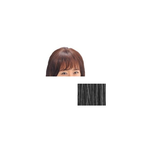 4560205150789 モアヘアピース MH−10白髪30% 27556【キャンセル不可】 4560205150789 モアヘアピース MH−10白髪30% 27556【キャンセル不可】