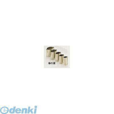 BNK09015 SA18−8手造り業務用抜型 5ヶ組 椿の葉 4905001022593 TKG bungoot-12930187 文具のブングット パッケージ画像