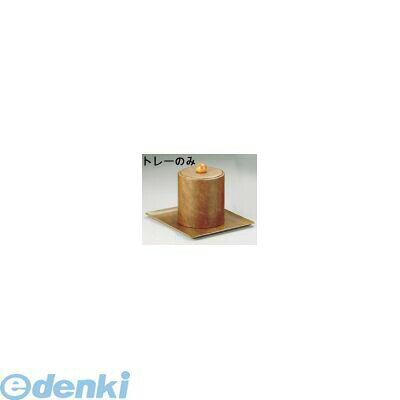 PTL02 ランカスター 長方型トレー 7700 4905001131240 TKG Kitchen Goods Total