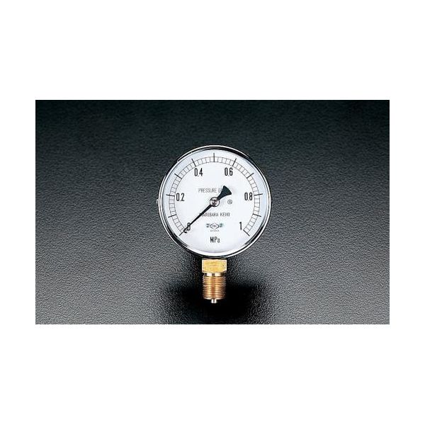 【個人宅配送不可】【即納在庫品】「直送」エスコ EA729BC-20 75mm0-2.0MPa圧力計 圧力 ゲージ EA729BC..