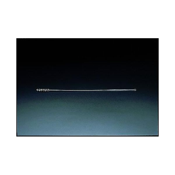 【即納在庫品】「直送」【個人宅配送不可】エスコ EA109SL-38 38.0x680mmステンレス製チューブブラシ EA109SL38【キャンセル不可】