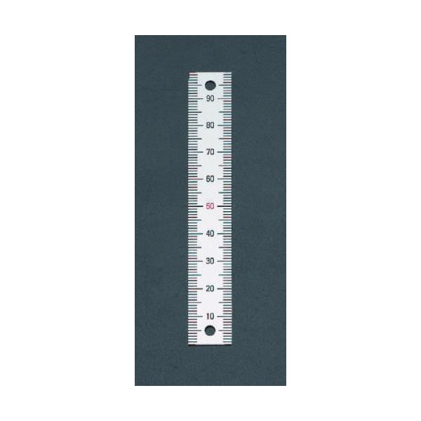 【個人宅配送不可】【即納在庫品】「直送」エスコ EA948J-231 50mm 垂直 スケール 上方向/ネジ EA948J231【キャンセル不可】
