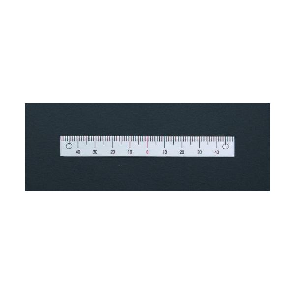 (LINEクーポン有)【個人宅配送不可】【即納在庫品】「直送」エスコ EA948J-52 200mm 中心振分 スケール..