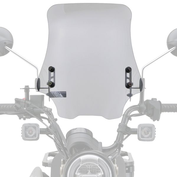 �ǥ��ȥ� DAYTONA 16885 �Х����� ������ɥ������RS ���ꥢ�� CT125 20 ��JA55��