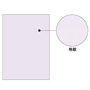 【即納在庫品】「直送」ヒサゴ BP2110 コピー偽造防止用紙浮き文字タイプA4両面