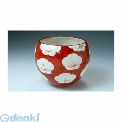 【個数：1個】 KTA136 直送 代引不可・他メーカー同梱不可 赤小梅 お茶呑茶碗五客揃