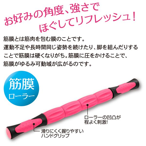 文具のブングットのアルファックス 705703 セルフビューティーローラー セルビー｜アングル3