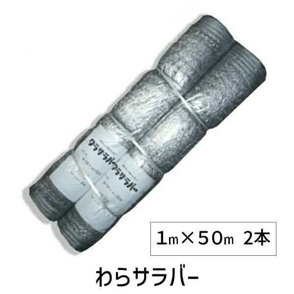 (LINEクーポン有)【個数：2個】シンセイ 4582193311805 直送 代引不可・他メーカー同梱不可 わらサラバ..