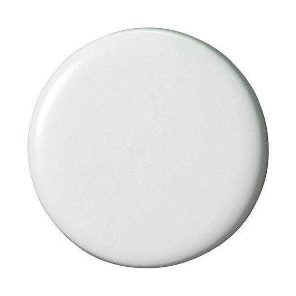 スマートバリュー B271J-W 両面強力カラーマグネット 30mm白 B271JW ジョインテックス 両面強力カラーマグネットコーティングタイプ白 SMARTVALUE SV