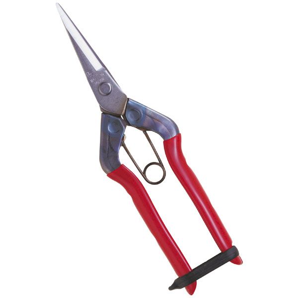 近正 T-550S ステン芽切鋏 尖直刃 BP T550S