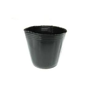 (LINEクーポン有)4955155017365 タキイ種苗 ポリポット黒10．5cm 100マイイリ