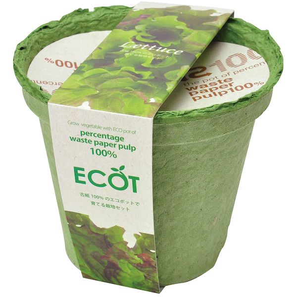翌日出荷 直送 代引不可・他メーカー同梱不可 聖新陶芸 4528757025016 エコット M レタス GD-41101【キ..