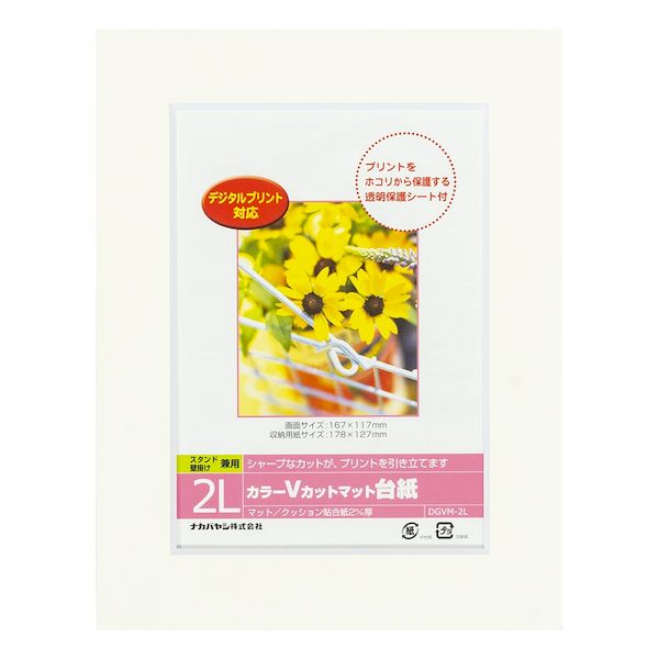 ナカバヤシ DGVM-2L-W/V カラーVカット台紙2L判／ホワイト DGVM2LW/V