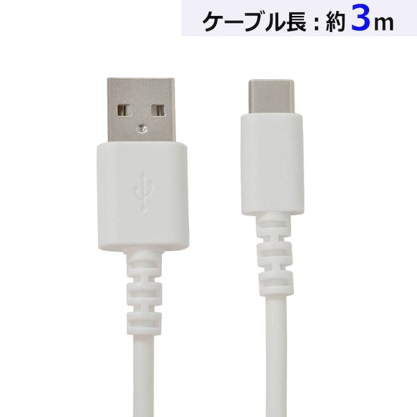 R30CAAC3A01WH ラスタバナナ USBケーブル（Type-A＋Type-C/3m/ホワイト） R30CAAC3A01WH