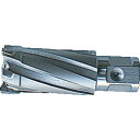 【即納在庫品】「直送」育良精機 CCSQ290 35SQクリンキーカッター 刃径29.0mm 大見 35Sクリンキーカッター 大見工業 OMI 35SQ型クリン...