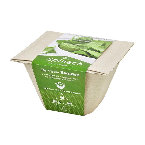 �����в� ľ�� ����Բġ�¾�᡼����Ʊ���Բ� ����ƫ�� 4528757039778 GD��95304 �Х������꡼�� ������ۥ���󥽥�