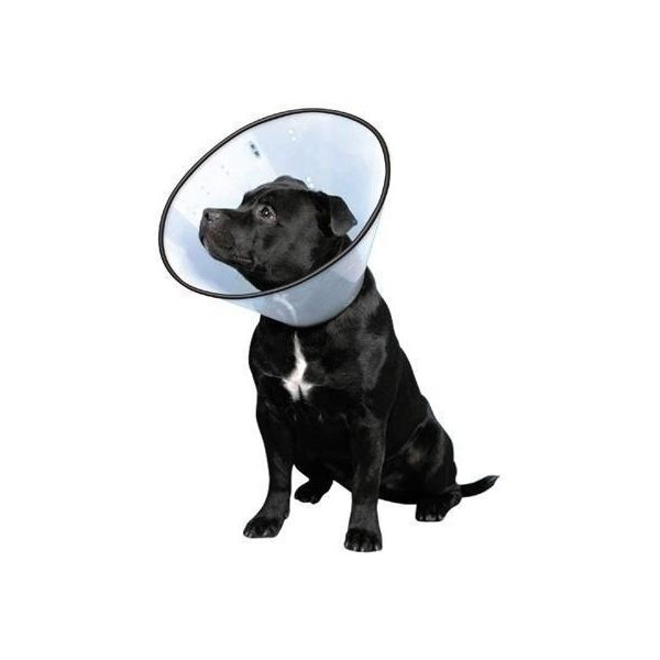 �ե��󥿥������� 4995723400090 VC��4 VET���顼 L ���ꥢ