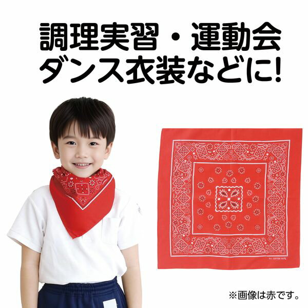 �����ƥå� ArTec 001248 �Х���ʡ��� 4521718012483