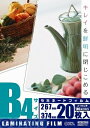 オーム電機 00-5541 ラミネートフィルム 100μ B4 20枚 005541