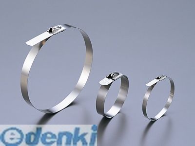 (LINEクーポン有)エスケイ工機 SMT5-250-3 ステンレスバンド 3本入り SMT52503