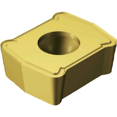 ��¨Ǽ�߸��ʡۡ�ľ����SV LCMX020204C-53 1020 U−�ɥ���ѥ��å�COAT 10���� LCM LCMX020204C531020