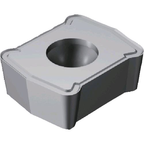 ��¨Ǽ�߸��ʡۡ�ľ����SV LCMX020204P-53 1120 U−�ɥ���ѥ��å�COAT 10���� LCM LCMX020204P531120