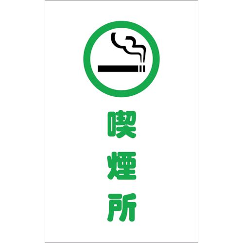 ��¨Ǽ�߸��ʡۡ�ľ���ץȥ饹���滳 TRUSCO TCSS019 �������󥹥�����ѥ����� �ʱ�� 2���� 438-9883