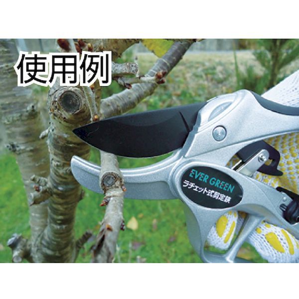 (LINEクーポン有)【即納在庫品】「直送」DAISHIN 502372 EG　ラチェット式剪定鋏DX