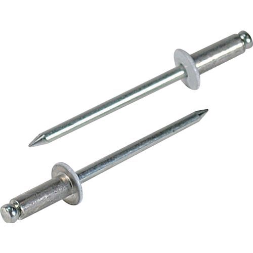 (LINEクーポン有)【即納在庫品】「直送」エビ CNSA54WEB カラーブラインドリベット5−4アルミ／スチール..