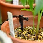 ��¨Ǽ�߸��ʡۥ����� GKK105 ���ꥹ�����������åȥ����ޡ��� ȭ������