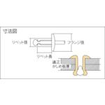 【即納在庫品】「直送」ロブテックス LOBSTER NSA 5-6EB ブラインドリベットエコBOX アルミ／スティール 5−6 300本入 NSA56EB スティール ブラインドリベットエコBOX アルミ エビ LOBTEX