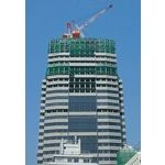 TRUSCO TCN-5050-GN 建築養生ネット緑1．8Φ 幅5m×5m 目合30 角目ラッセル TCN5050GN tr-1606729 角目ラッセル1606729