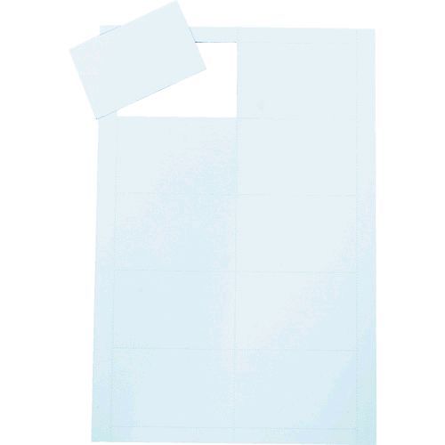 【即納在庫品】「直送」TRUSCO TPMAG-A45P ペーパーマグネット 両面タイプ A4 5枚入り TPMAGA45P 5枚入り2076278 207-6278