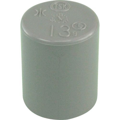 ��¨Ǽ�߸��ʡۡ�ľ���ץȡ����� TSCAP13 TS�Ѽꡡ����åס�13