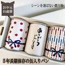 賞味期限5年　長期保存できる缶入りパン　パンですよ！　3缶セット お中元 お歳暮 贈答用 ギフト 御礼 お返し お菓子 パン　保存食　非常食　缶詰　長期保存　備蓄　防災用品　キャンプ　アウトドア　名古屋ライトハウス　レーズン　チョコチップ　コーヒーナッツ