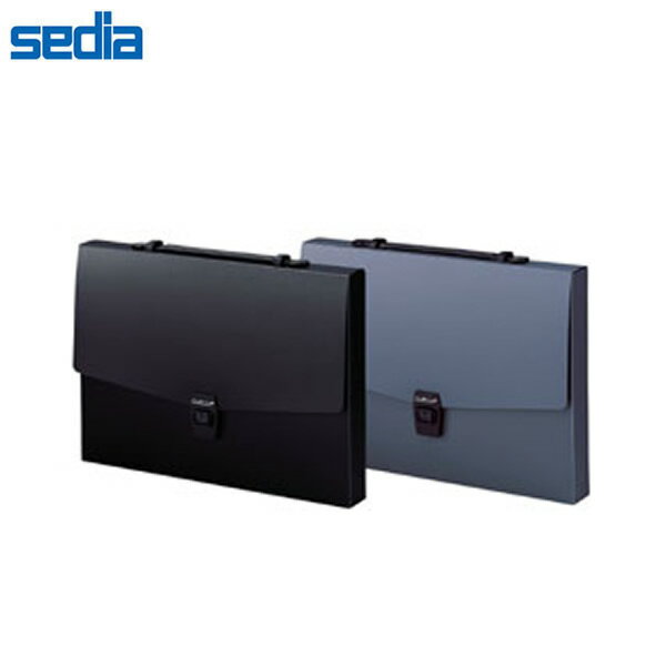 ≪フラットタイプ・全2色≫セキセイ／アルタートケース ART-702) A3 ブラック フラットな取っ手付き　ポ..