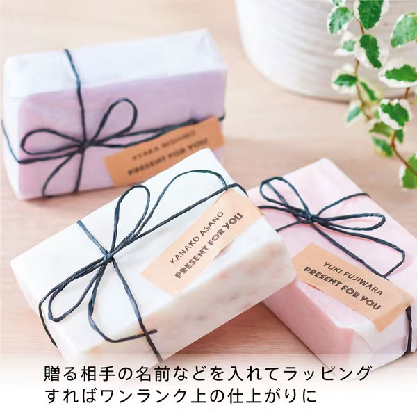 (まとめ）エーワン ラベルシール[プリンタ兼用]ハイグレードタイプ マット紙・ホワイト A4 24面 66×33.9mm 四辺余白付 762241冊(100シート)【×3セット】 (代引不可)