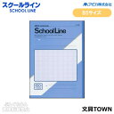 【セミB5サイズ・学用3号】アピカ/スクールライン 特殊罫ノート(LG15)アクア 150字 糸綴じ 30枚 科目シール付き 目にやさしいグリーン罫/APICA